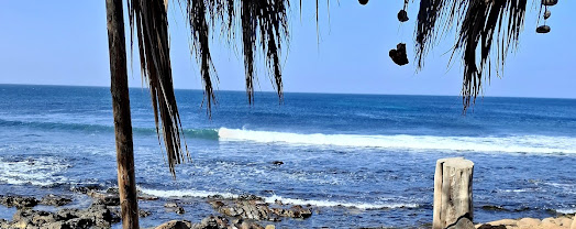 Ponta Brava